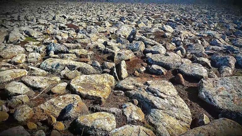 Şanlıurfada taşların altından cephane çıktı