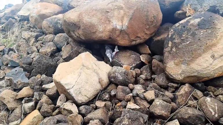 Şanlıurfada taşların altından cephane çıktı