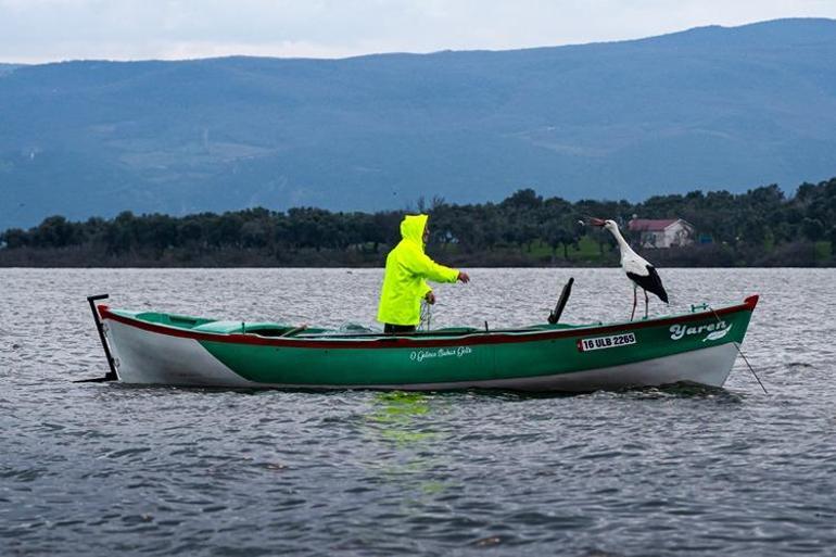 Yaren Leylek 15. kez Adem Amcanın kayığına kondu