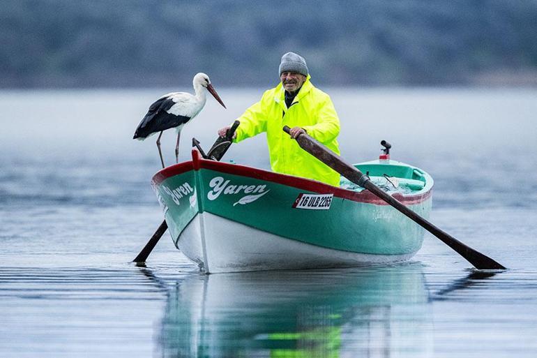 Yaren Leylek 15. kez Adem Amcanın kayığına kondu