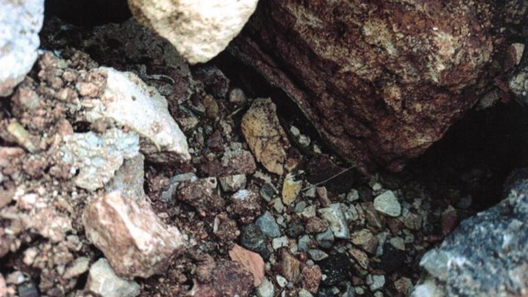 Roma dönemine ait sarnıç yok edildi İş makinesiyle tahrip edilen kültür varlığı için suç duyurusu