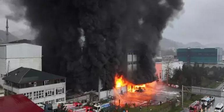 Trabzonda fındık fabrikasında yangın Valilikten açıklama