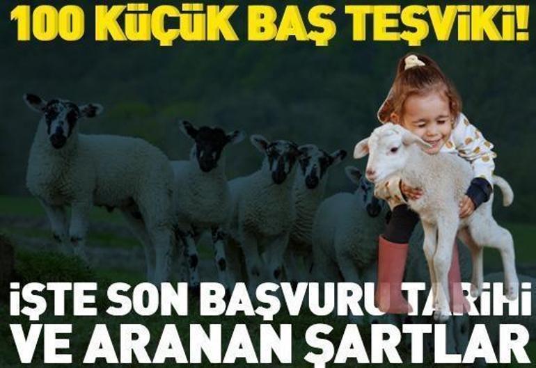 3 Nisan 2026 Cuma gününün son dakika önemli gelişmeleri (CNN TÜRK 16.30 bülteni)