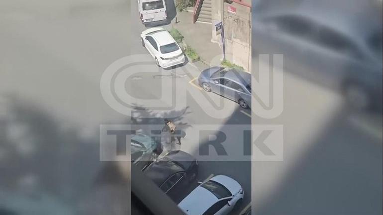 SON DAKİKA İSRAİL KONSOLOSLUĞU ÖNÜNE TERÖRİSTLER BÖYLE GELMİŞ İşte o görüntüler