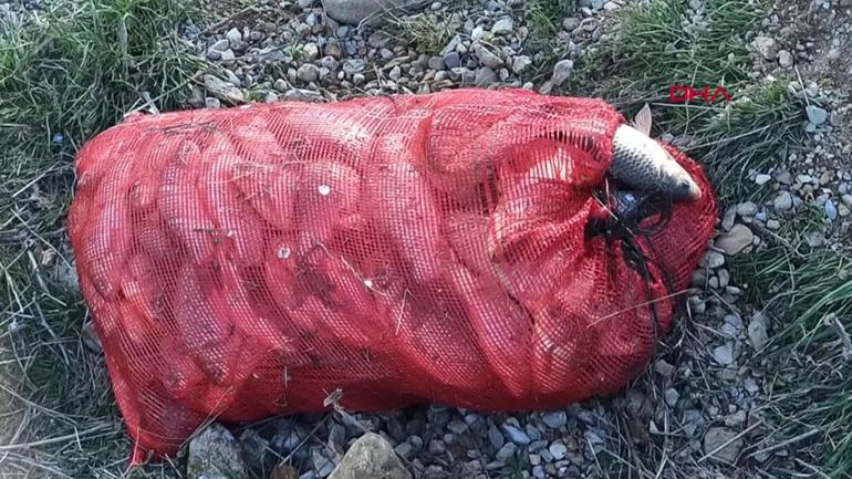  Toplamaya yetişemediler