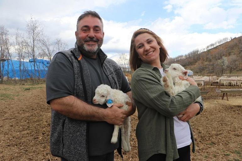 Kariyeri plazada değil keçi ağılında
