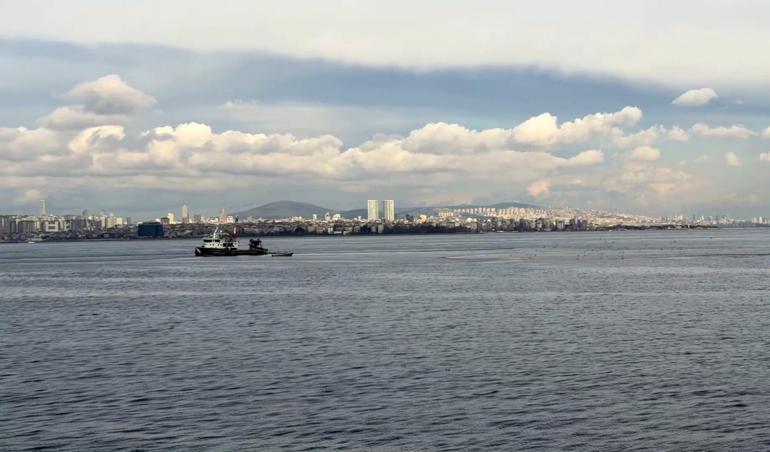 Av mevsiminin son günlerinde Marmarada istavrit bolluğu