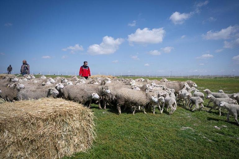  Başvurular başladı, yıllık 180 bin TL destek verilecek