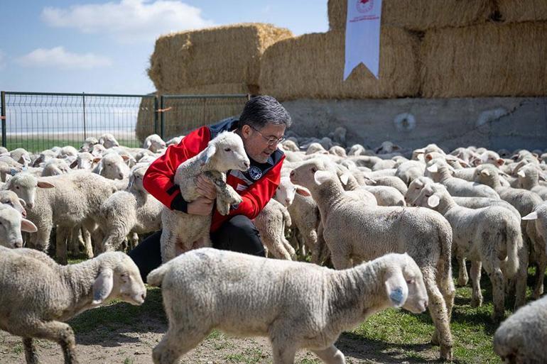  Başvurular başladı, yıllık 180 bin TL destek verilecek
