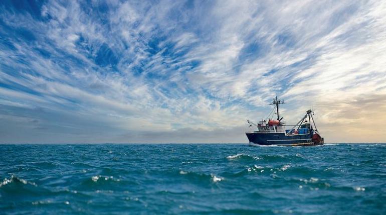 AV YASAĞI NE ZAMAN BAŞLIYOR, BUGÜN MÜ 2026 Av Yasağı Ne Zaman Bitecek Ne Zamana Kadar Avlanma Yasak