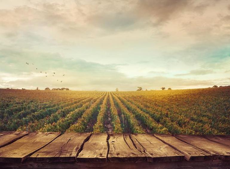 Arsa ve arazi sahipleri dikkat Kaçak yapılar için yıkım süreci başlıyor