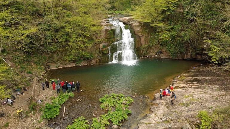 Gölderesi şelalesi ilkbaharda büyülüyor Küre Dağları’nda doğa harikası
