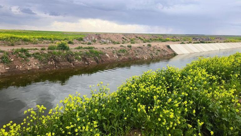 3 yaşındaki Yazgül aranıyor