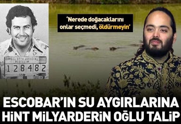 29 Nisan 2026 Çarşamba gününün son dakika önemli gelişmeleri (CNN TÜRK 16.30 bülteni)