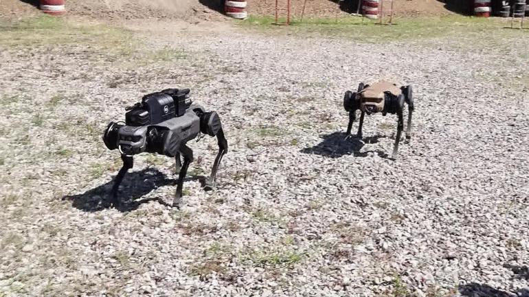 Yeni nesil ‘dron savar’ sistemler