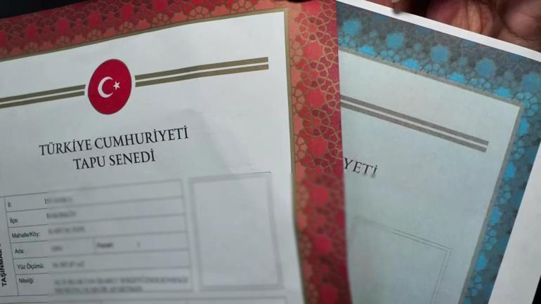  Kahverengi güvence, turkuaz risk mi
