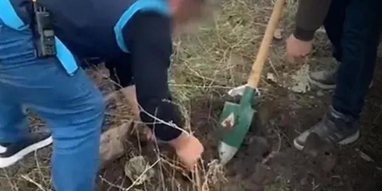 Forkliftle soydu, eşekle kaçtı Cezası belli oldu