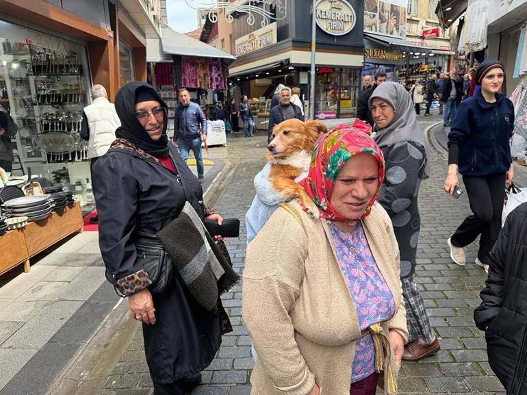 İnsanlardan korkan köpeğini sırtında gezdiriyor