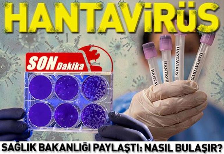 O gemiden tahliyeler tamamlandı Dünyayı hantavirüs korkusu sardı: Pandemiye dönüşür mü