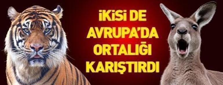 18 Mayıs 2026 Pazartesi gününün son dakika önemli gelişmeleri (CNN TÜRK 16.30 bülteni)
