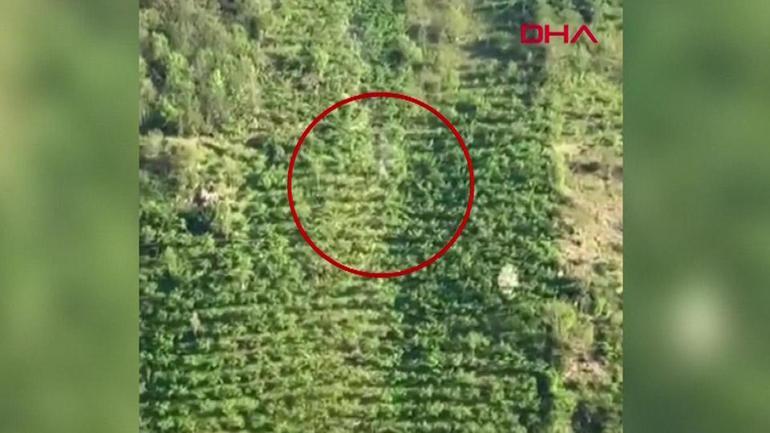 Kamyonet yamaçtan böyle yuvarlandı