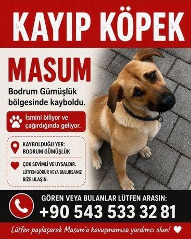  Lütfen bize haber verin