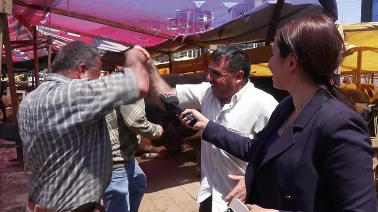 Kurbanlık fiyatları ve satışlar nasıl