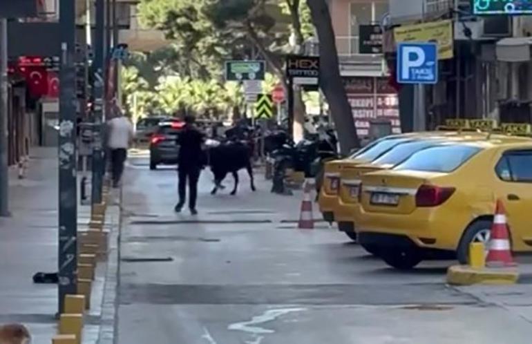 Firari kurbanlıklar