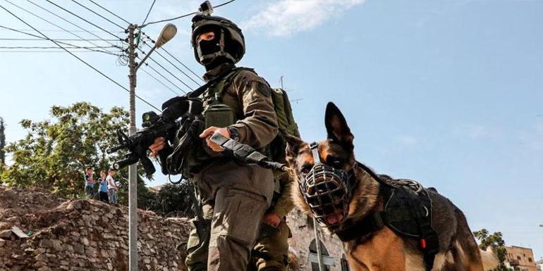 Demir Kubbe Fiyaskosu İsrailde Artık Köpek Timleri Devrede