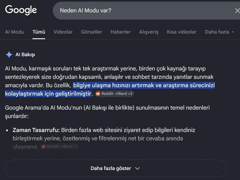 Google aramayla ilgili kritik düzenleme: Yapay zekaya fren