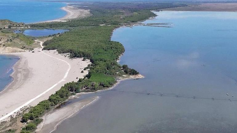 ARNAVUTLUKTA TRUMP AİLESİ KRİZİ Yeni “Epstein Adası” mı olacak Binlerce kişi sokakta