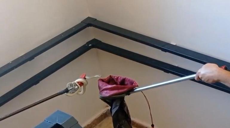 Gören şoke oldu Apartmanda yılan paniği