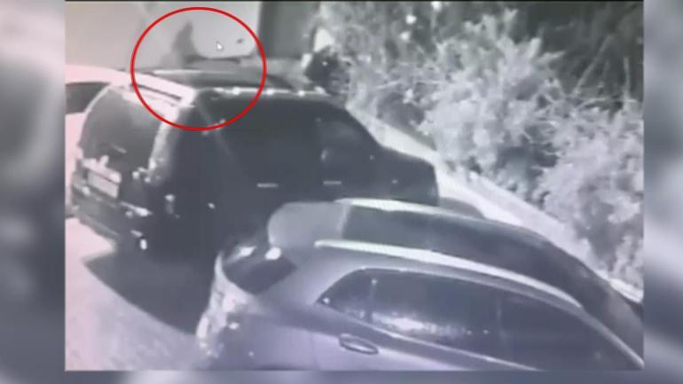 10 yıl boyunca çözülemedi Mezdeke Aynur Kanbur cinayetinin sırrı nasıl ortaya çıktı