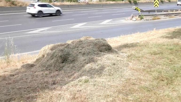  İstanbul Valiliği harekete geçti