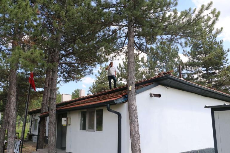 Bu mahallede telefon çekmiyor 112yi aramak için başka köye gidiyorlar