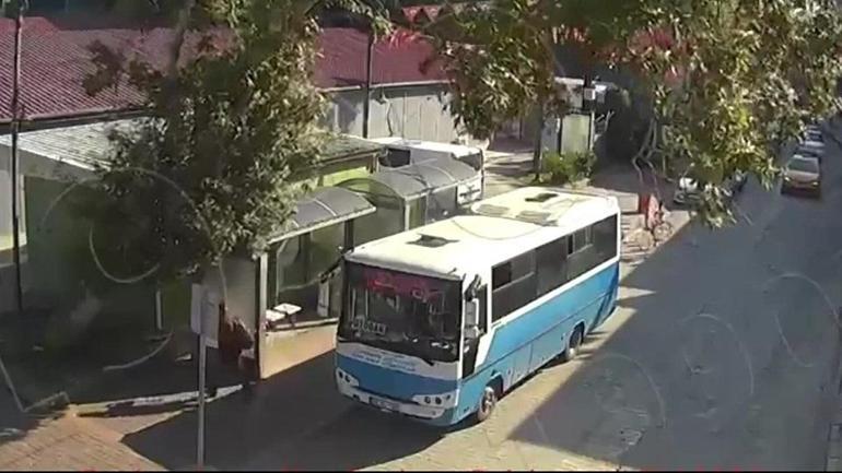 DEV AĞAÇ BÖYLE DEVRİLDİ: Facianın eşiğinden dönüldü