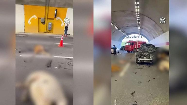  10 inek telef oldu, araçlar hurdaya döndü