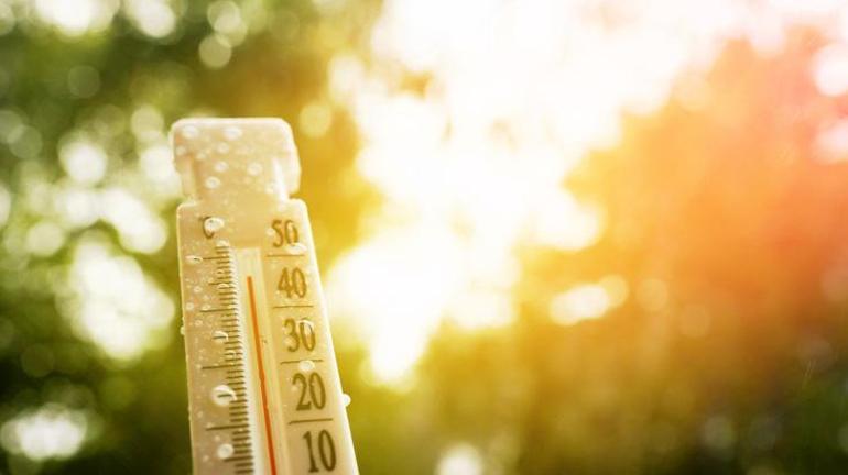 Aşırı sıcakların yeni etkisi: Isı stresi alarmı