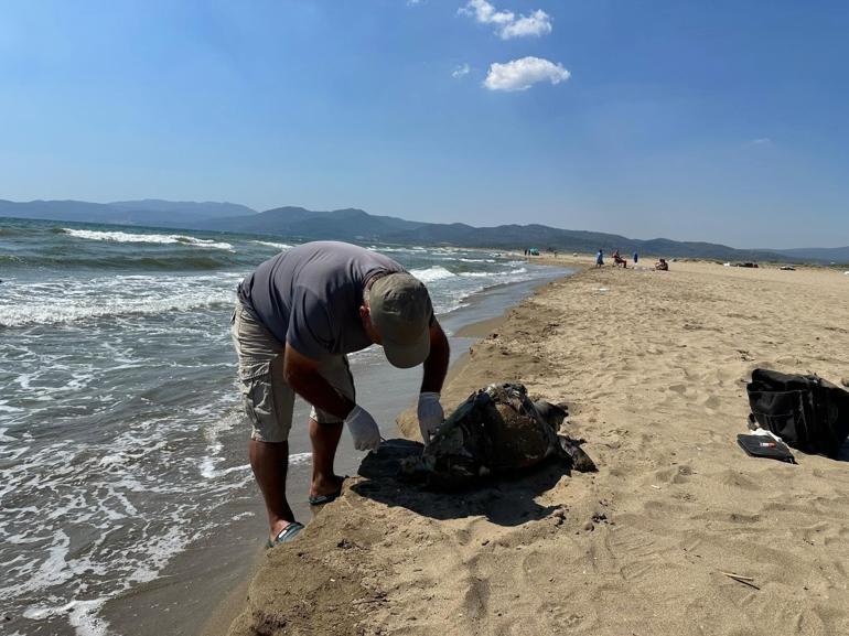 Deniz kaplumbağası, yüzgecine parke taşı bağlanarak canice öldürüldü