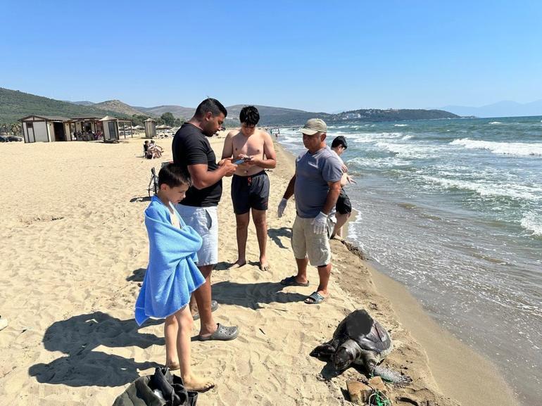 Deniz kaplumbağası, yüzgecine parke taşı bağlanarak canice öldürüldü