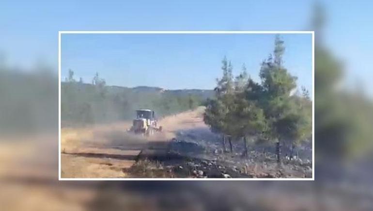 CİĞERLERİMİZ YANDI Gaziantep’te orman yangını