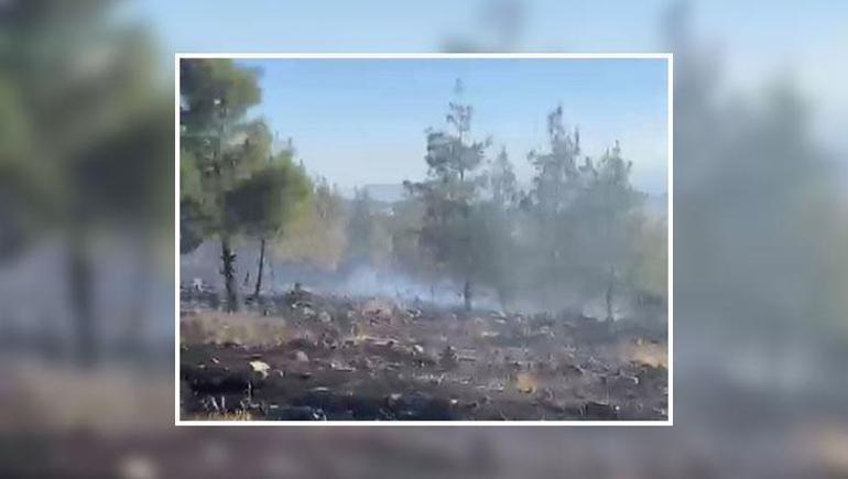 CİĞERLERİMİZ YANDI Gaziantep’te orman yangını