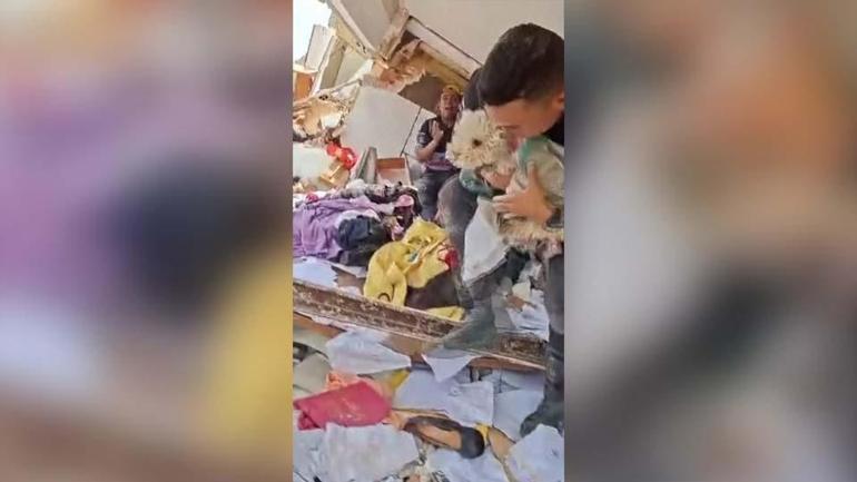 Venezuelada mucize kurtuluş Buddy adlı köpek 8 gün sonra enkazdan sağ çıkarıldı