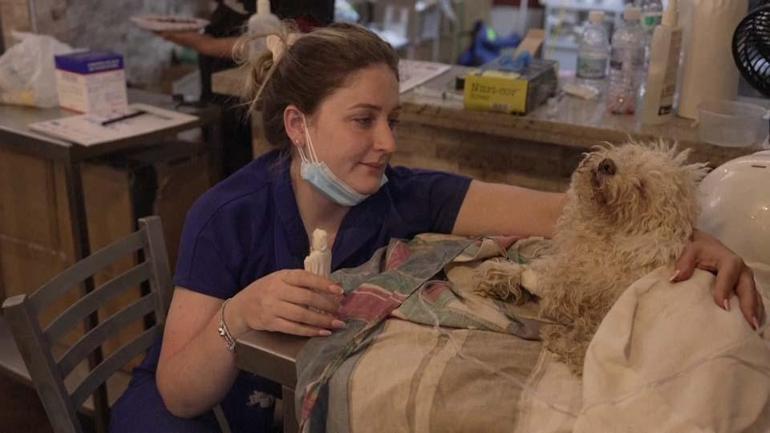 Venezuelada mucize kurtuluş Buddy adlı köpek 8 gün sonra enkazdan sağ çıkarıldı