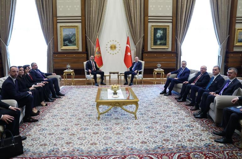 Cumhurbaşkanı Erdoğan, Karadağ Başbakanı Spajici kabul etti