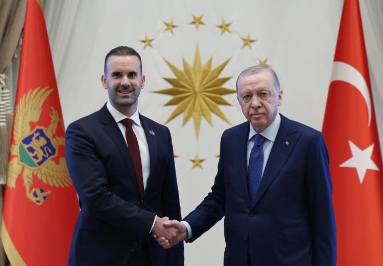 Cumhurbaşkanı Erdoğandan diplomasi trafiği