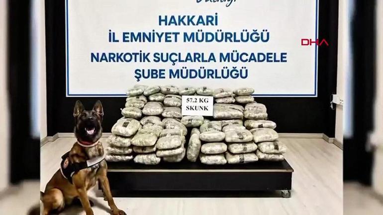 SON DAKİKA HABERİ: 73 ilde dev uyuşturucu operasyonu: 935 tutuklama