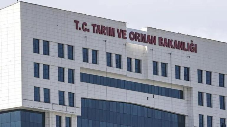  Tarım ve Orman Bakanlığı personel alımı ne zaman Tarım Bakanlığı personel alımı başvuru şartları neler