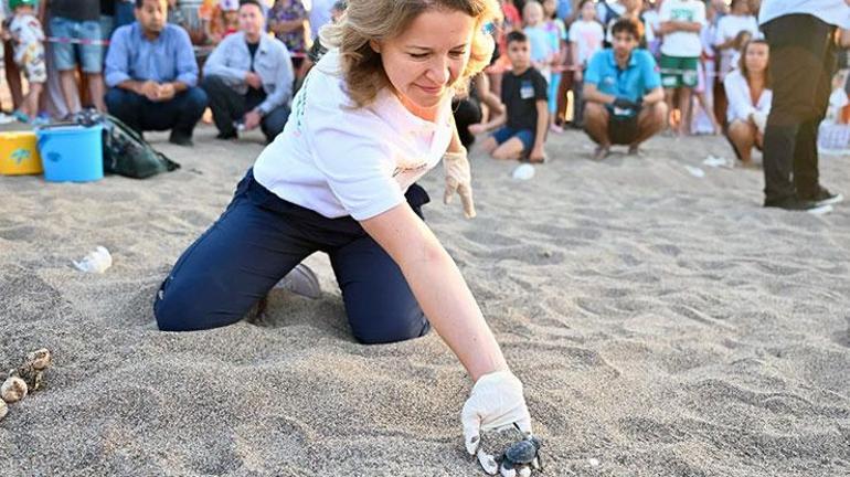 Çıralı sahilinde yavru deniz kaplumbağalarının zorlu yolculuğu başladı