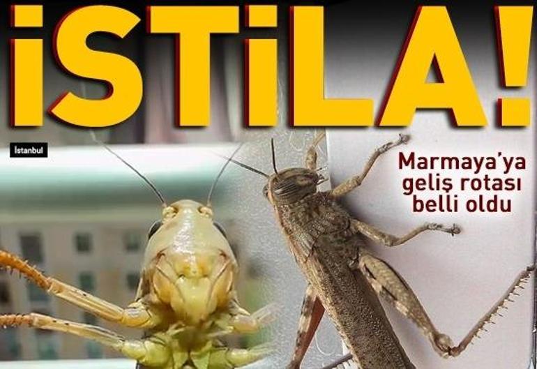 20 Temmuz Pazartesi gününün son dakika önemli gelişmeleri (CNN TÜRK 11.30 bülteni)